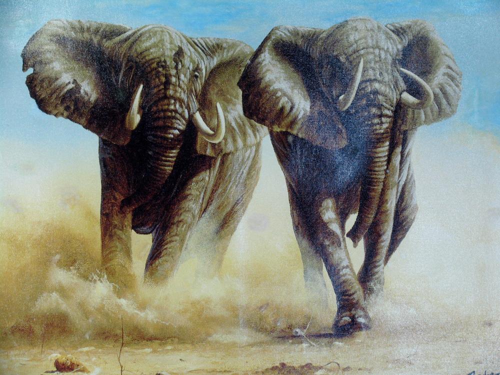 Andrew Bone Elephant Stampede II