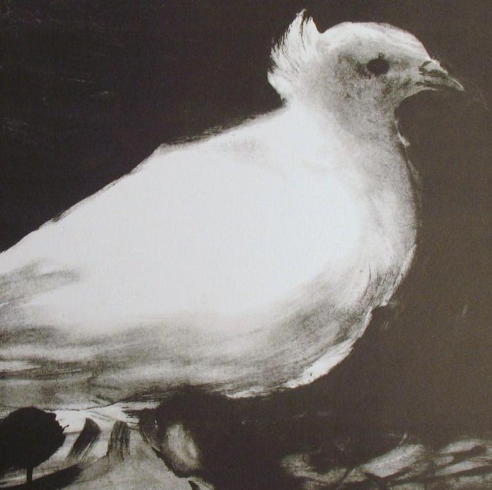 Pablo Picasso White Bird