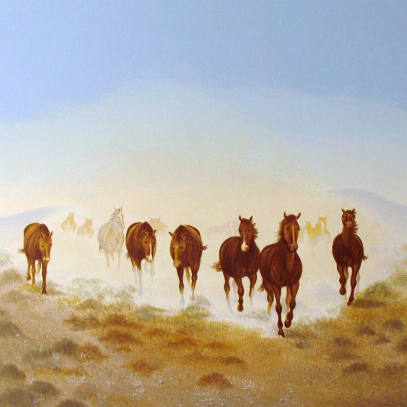 Gwendolyn Branstetter Dust on the Desert