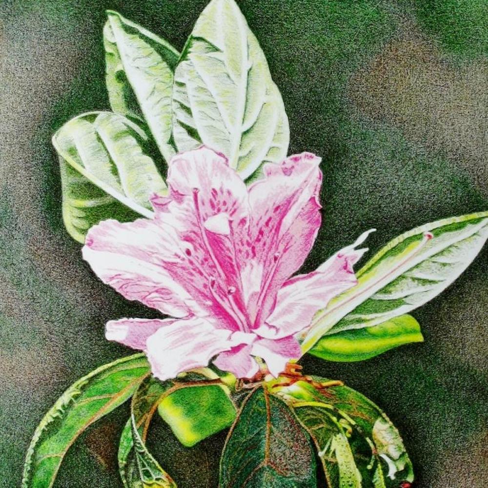 Floral Art Print