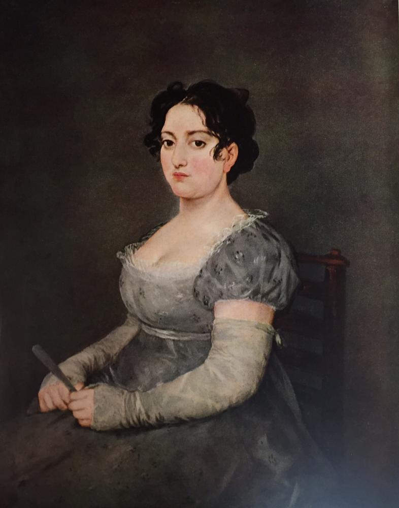 Francisco Jose de Goya y Lucientes Woman in Gray c.1805 Fine Art Print from Museum Artist - Click Image to Close