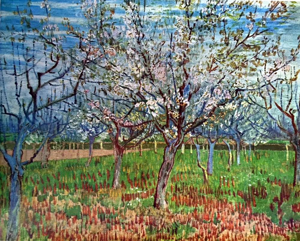 Vincent Van Gogh The Orchard c.1888 Fine Art Print from Museum Artist - Click Image to Close