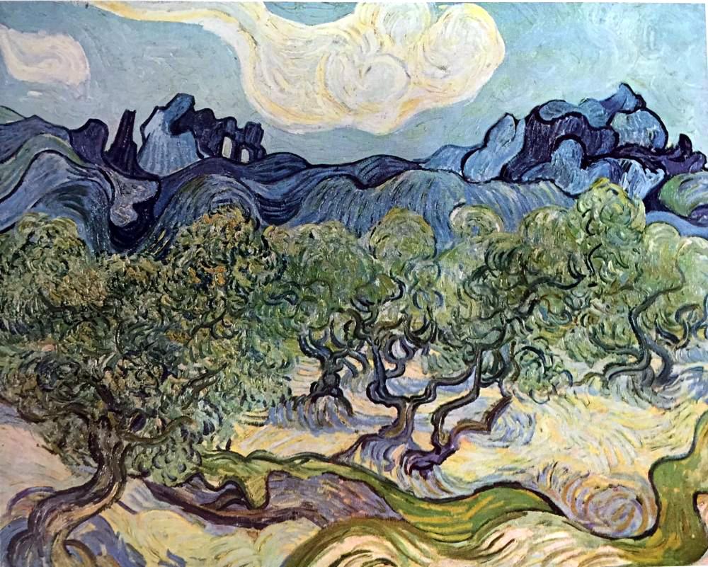 Vincent Van Gogh Landscape with Olive Trees c.1889 Fine Art Print from Museum Artist