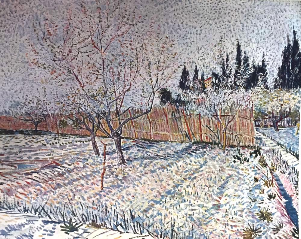 Vincent Van Gogh Orchard, Springtime c.1888 Fine Art Print from Museum Artist