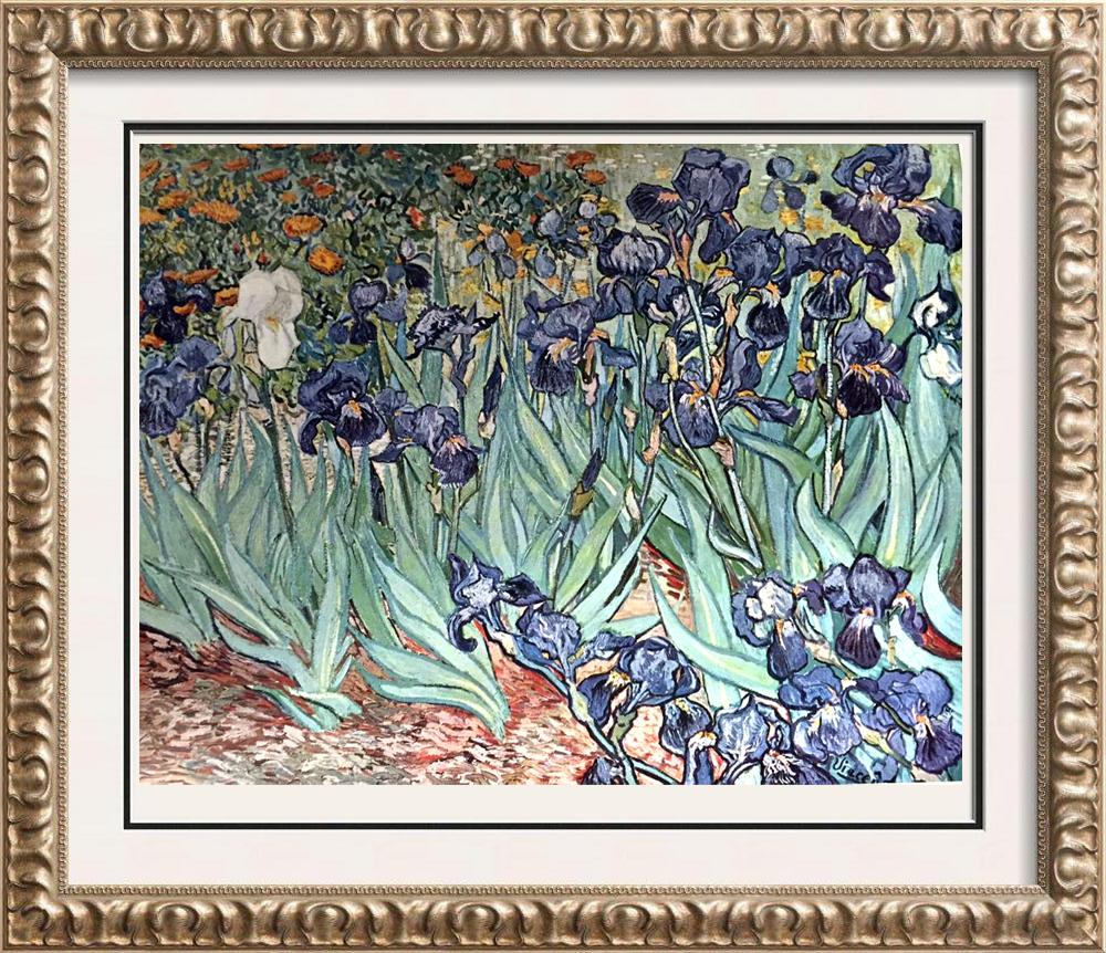 Vincent Van Gogh Irises c.1889 Fine Art Print from Museum Artist