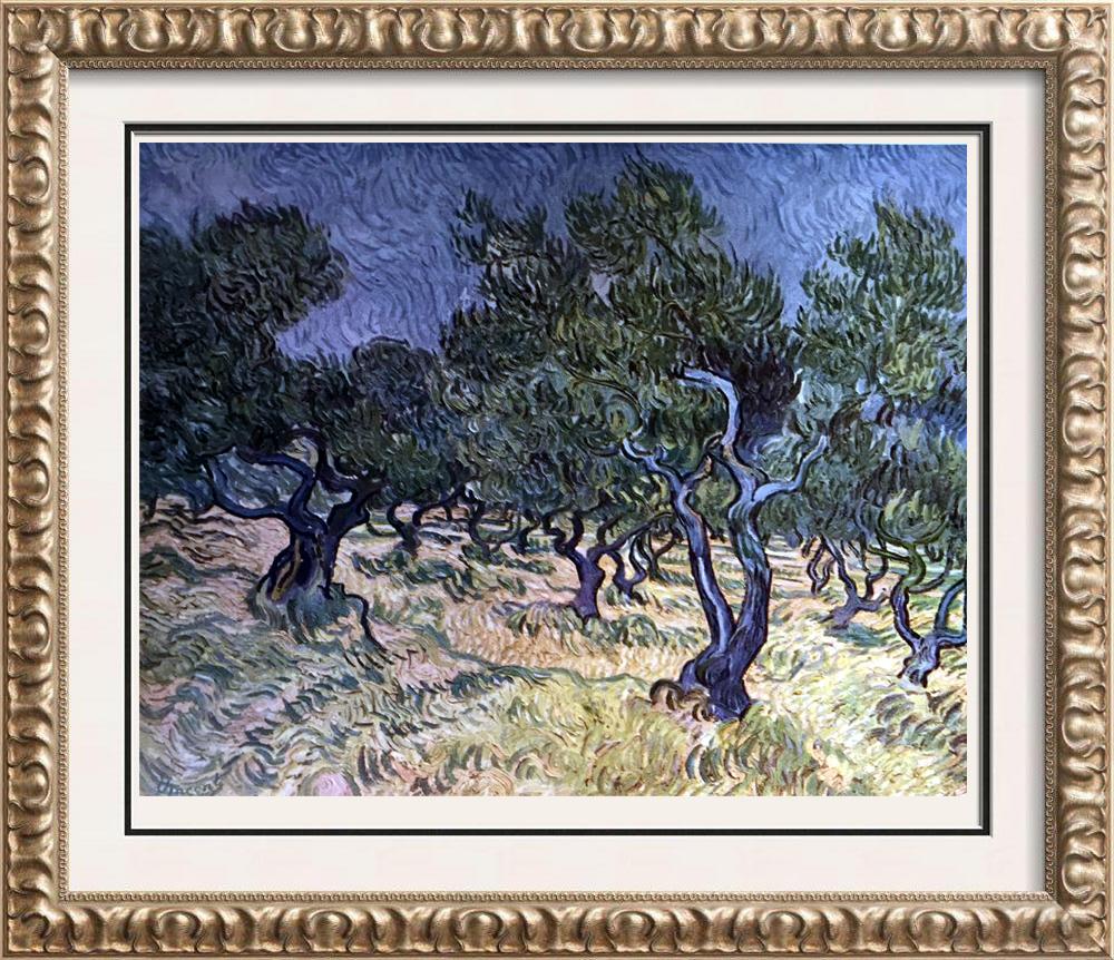 Vincent Van Gogh Olive Orchard c.1889 Fine Art Print from Museum Artist