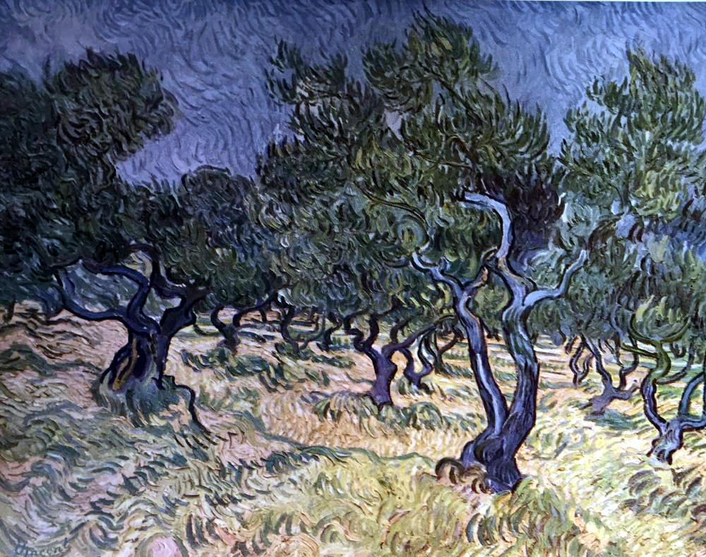 Vincent Van Gogh Olive Orchard c.1889 Fine Art Print from Museum Artist - Click Image to Close