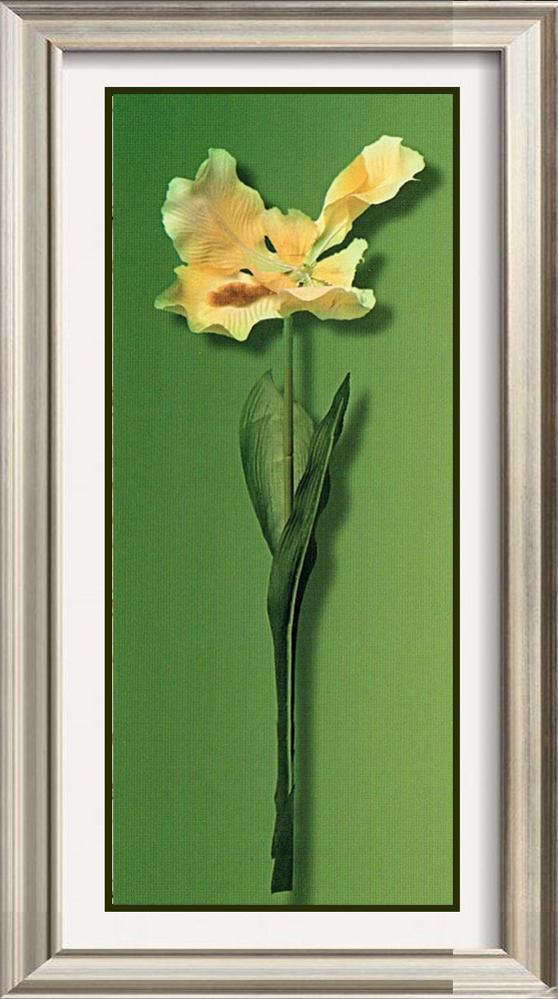 Neum Collection Flower Yellow on Green
