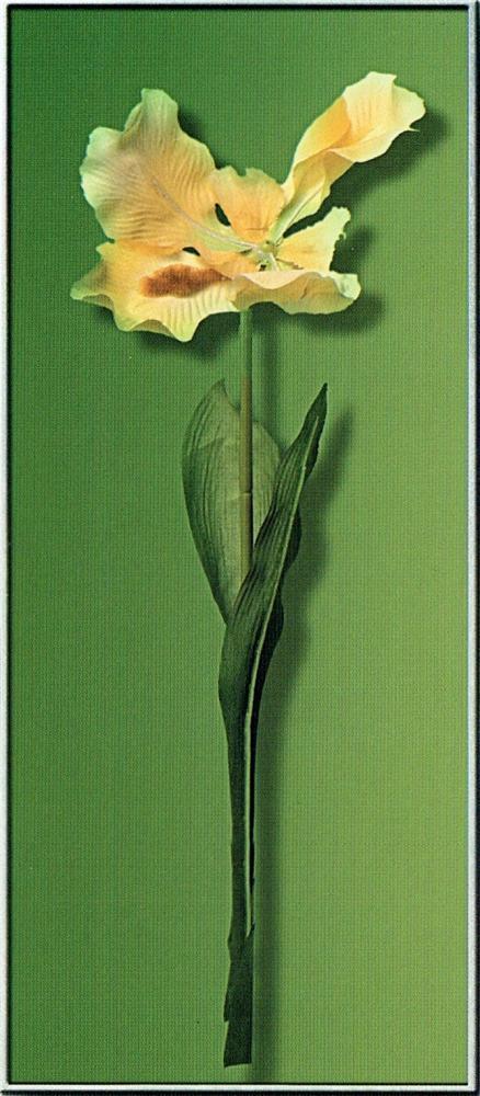 Neum Collection Flower Yellow on Green - Click Image to Close