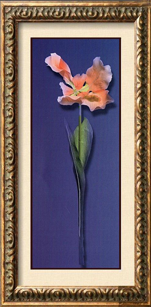 Neum Collection Flower Rose on Purple