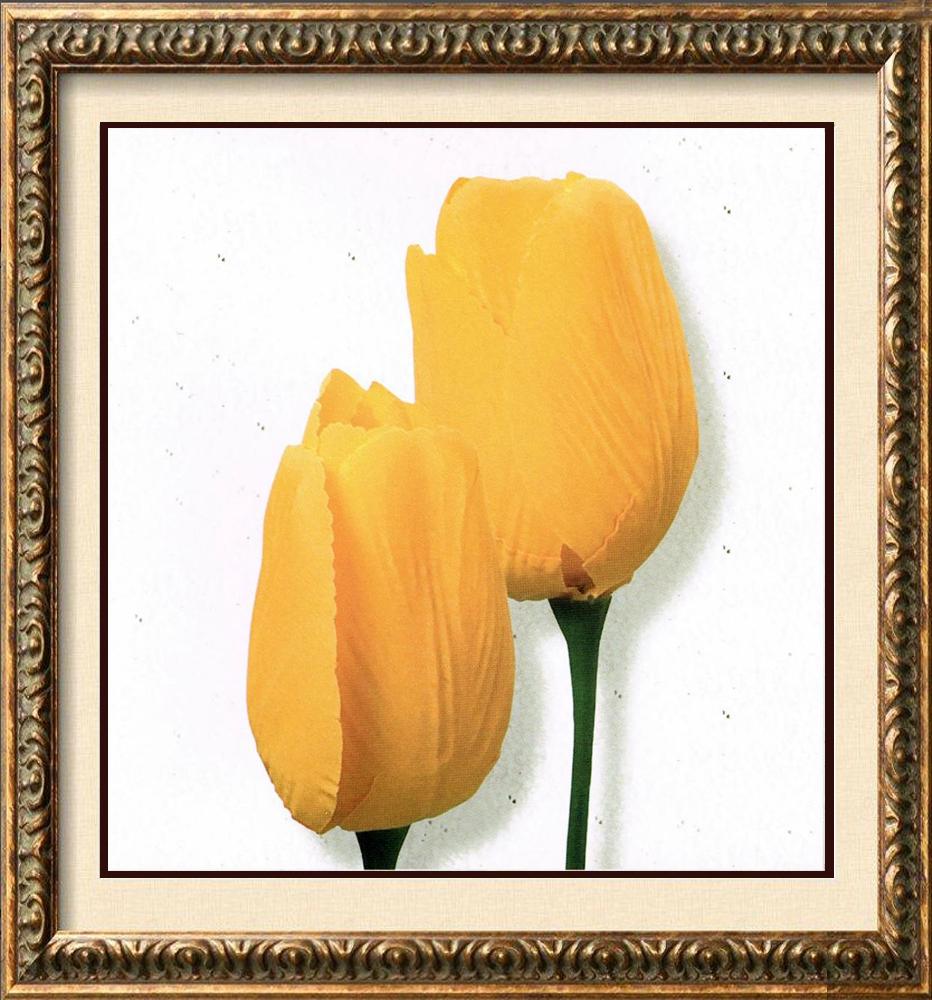 Neum Collection Tulips in Yellow