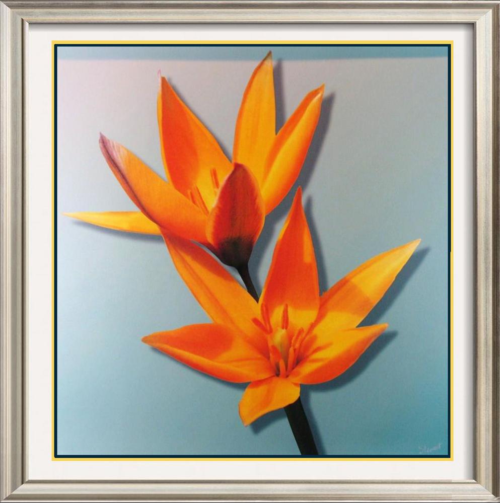 Neum Collection Bloom in Orange