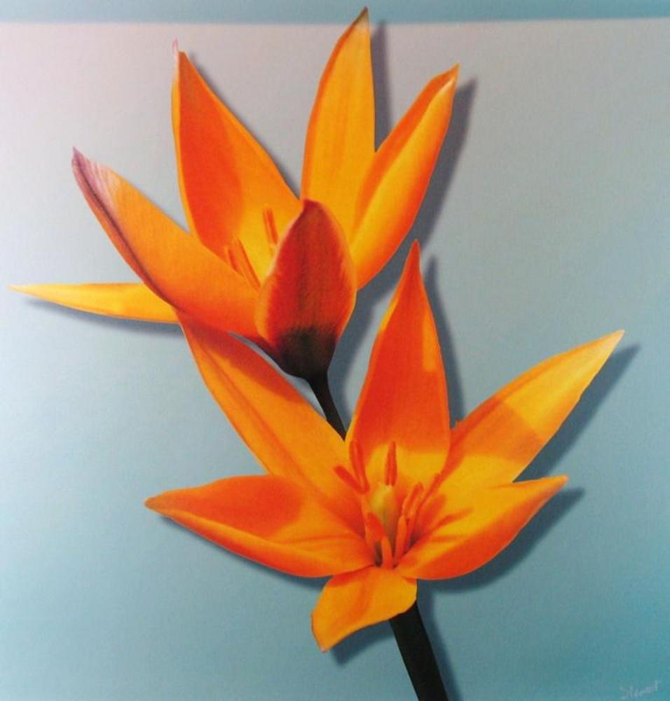 Neum Collection Bloom in Orange