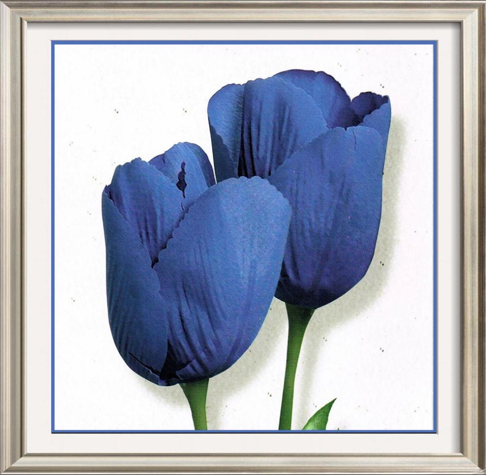 Neum Collection Tulips in Purple