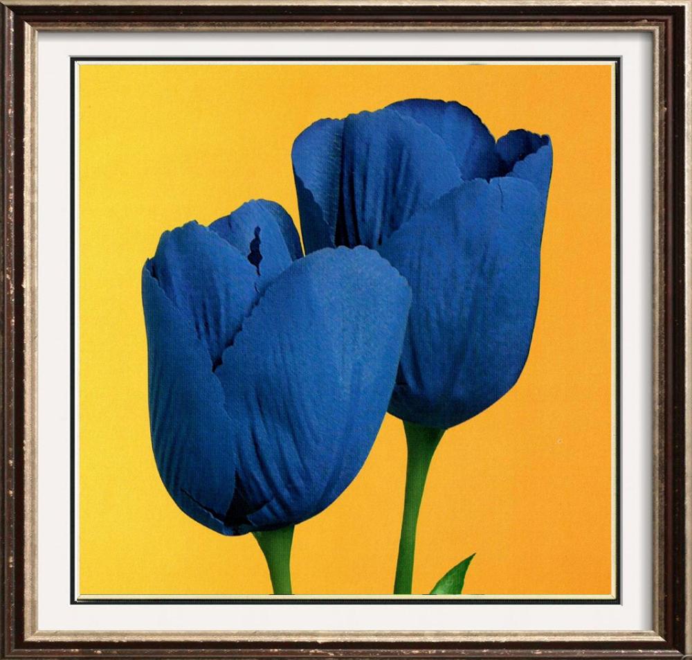 Neum Collection Tulips on Gold