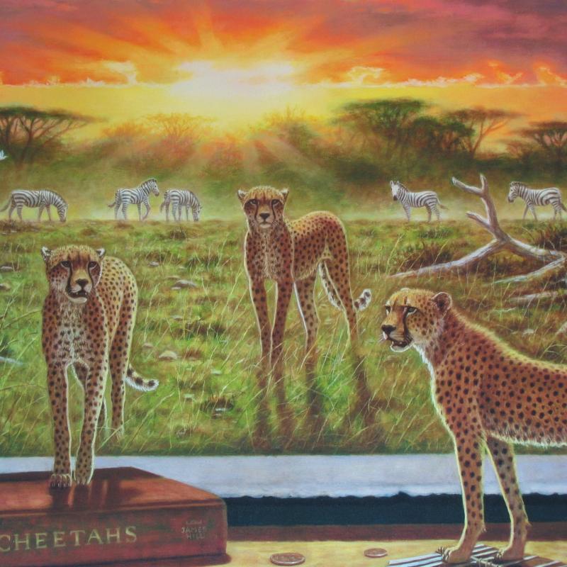 Bo Newell Cheetahs at Sunset