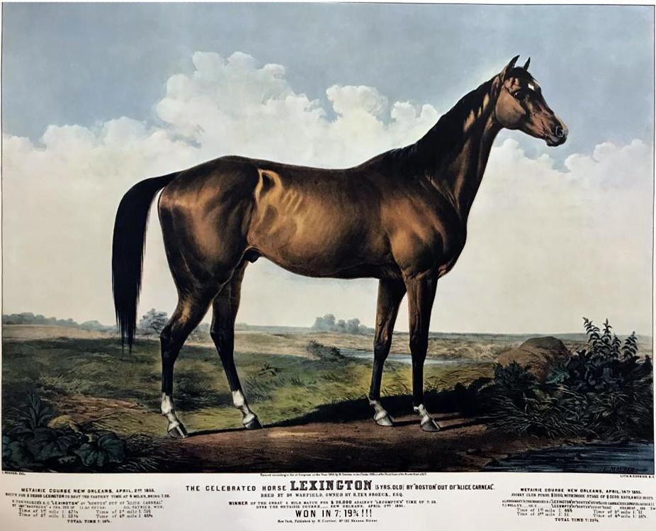Roy King The Celebrated Horse Lexington A Great Grandsire Of American Racing