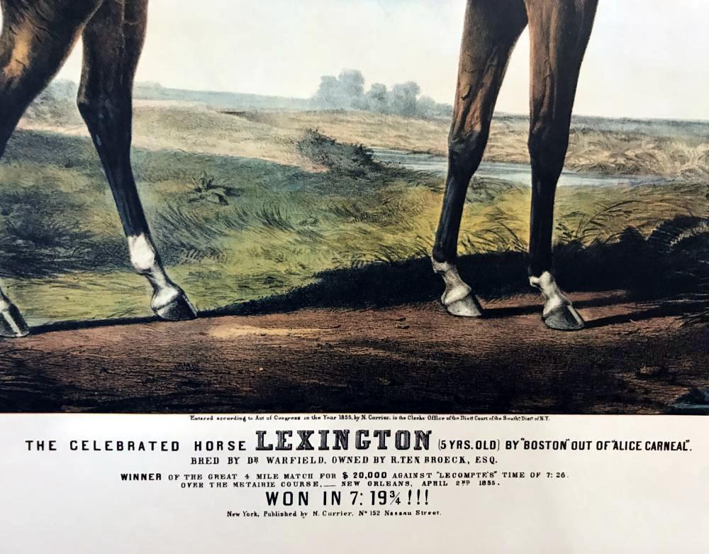 Roy King The Celebrated Horse Lexington A Great Grandsire Of American Racing