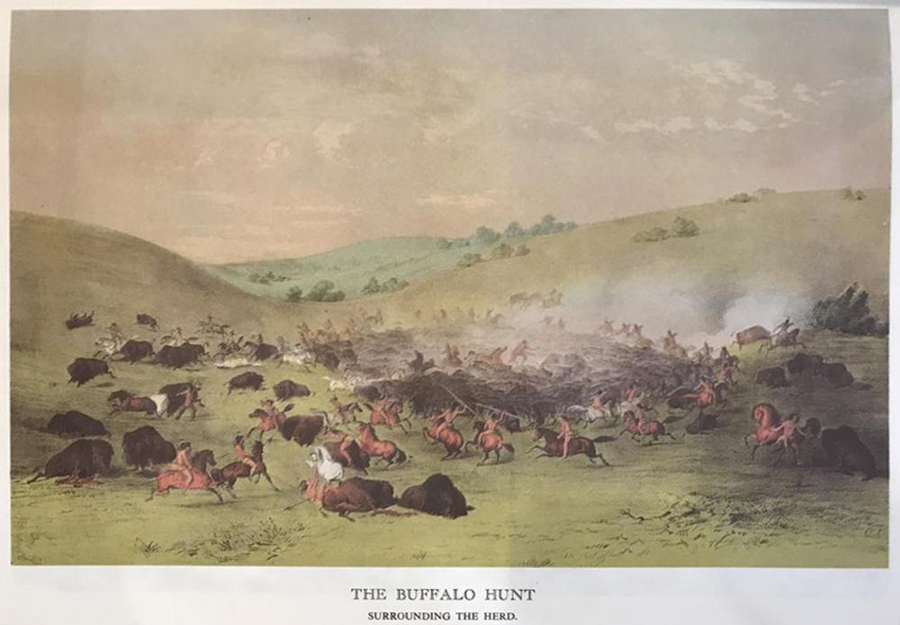 The North American Indian: The Buffalo Hunt