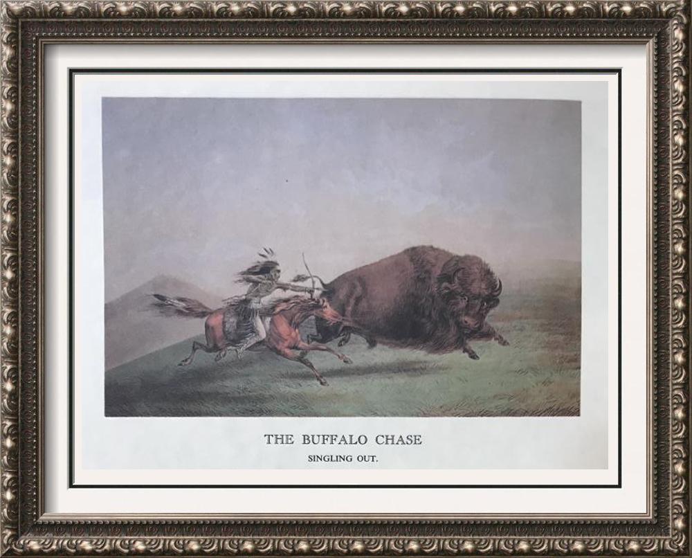The North American Indian: The Buffalo Chase