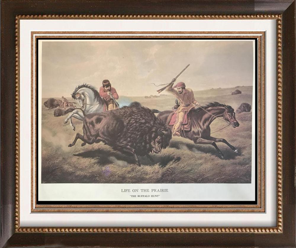 The Prairies And The Mountains: Life On The Prairie: The Buffalo Hunt