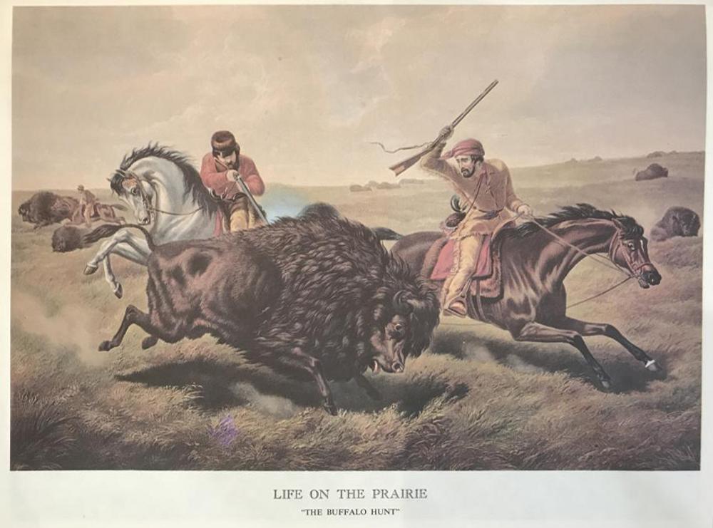 The Prairies And The Mountains: Life On The Prairie: The Buffalo Hunt