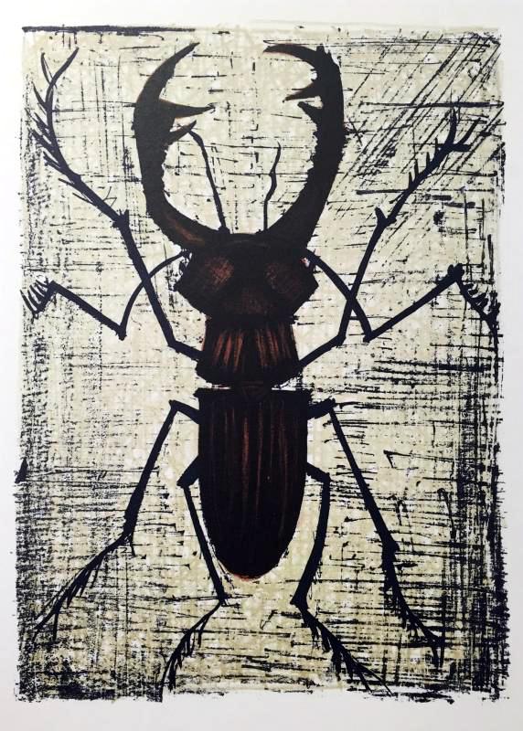 Bernard Buffet Plate Forty Four Stag Beetle - Click Image to Close