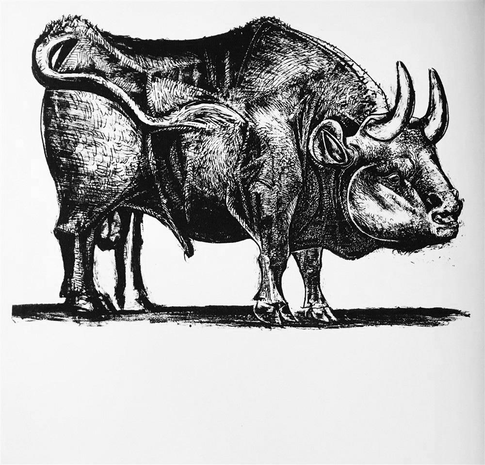 Pablo Picasso Bull c. 1945 Fine Art Print from Museum Artist - Click Image to Close