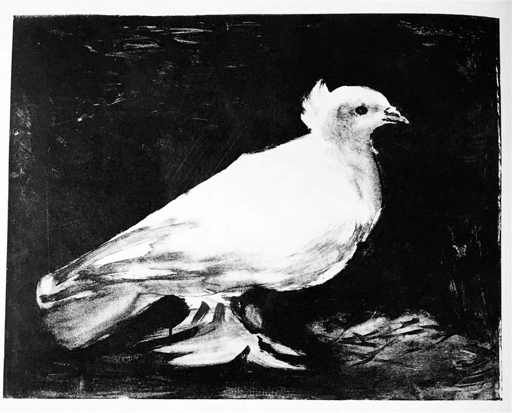 Pablo Picasso Dove c. 1949 Fine Art Print from Museum Artist