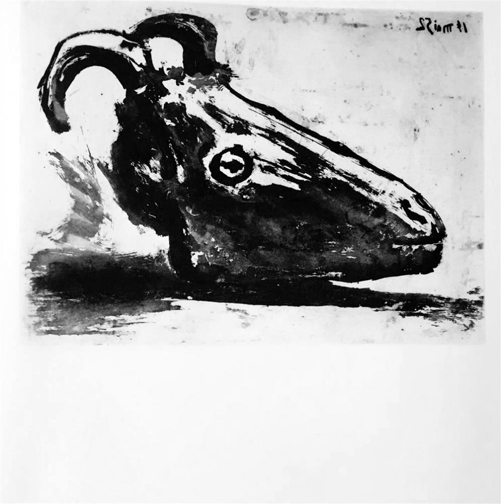 Pablo Picasso Skull of a Goat c. 1952 Fine Art Print from Museum Artist