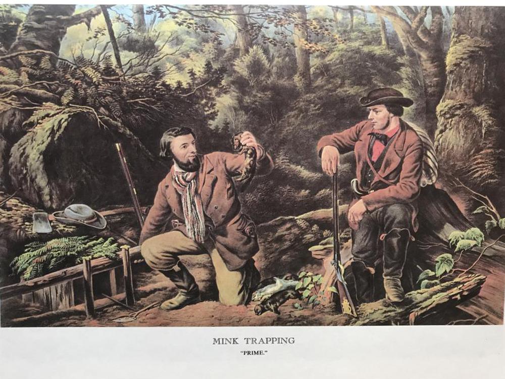 Hunting: Mink Trapping