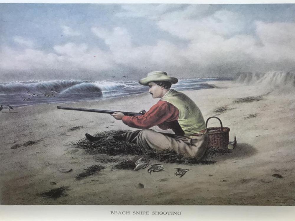 Hunting: Beach Sniper Shooting