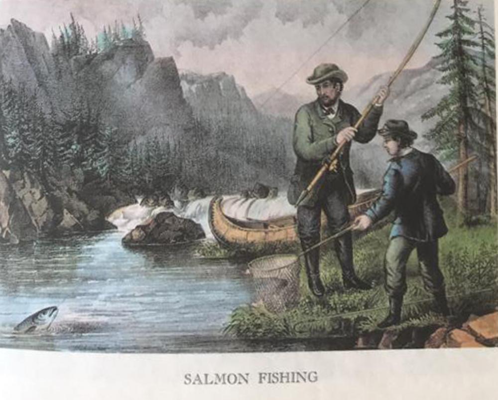Fishing: Bass Fishing