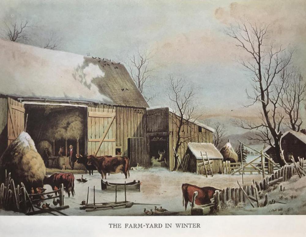 The Country Year: The Farmyard In Winter