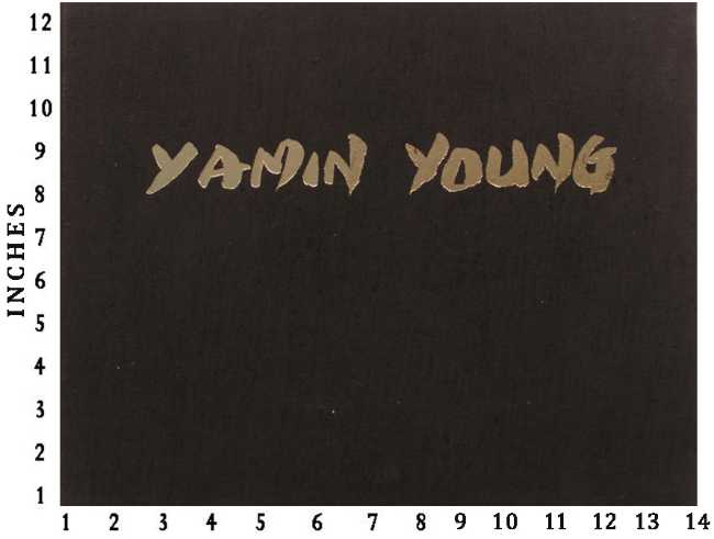 YOUNG: Yamin Young