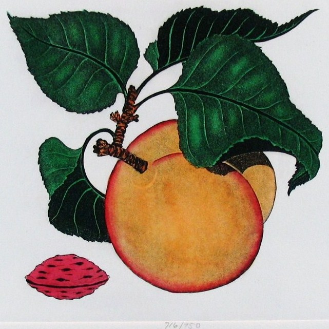 Dan Mitra Group of Fruits 1 - Click Image to Close
