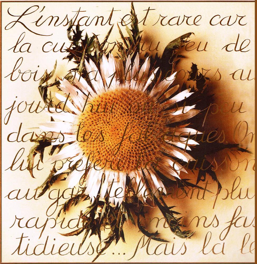 Neum Collection Love in Sunflower