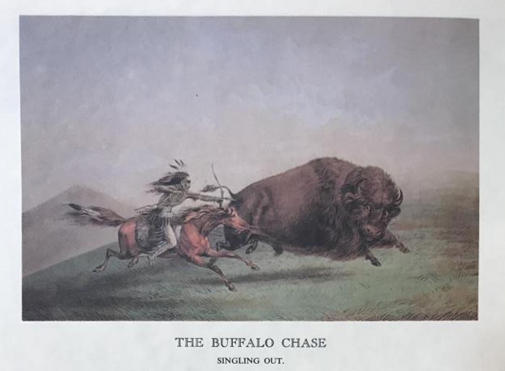The North American Indian: The Buffalo Chase