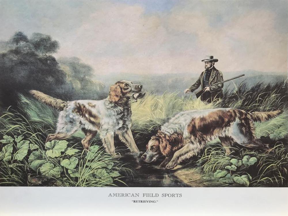 Hunting: American Field Sports Retrieving