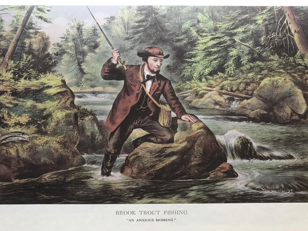 Fishing: Brook Trout Fishing